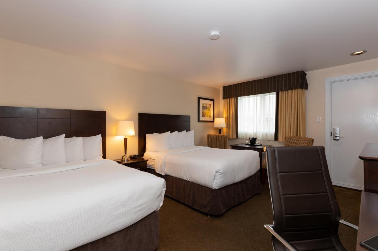 Quality Inn & Suites Matane Exteriör bild